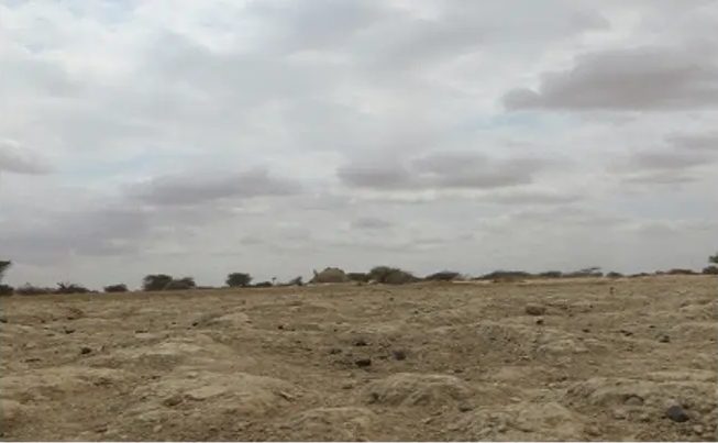 Stony open plain fading to low scrub under a cloudy grey sky