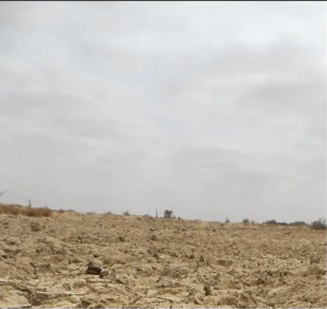 Flat dry pan of grey cracked soil beneath a heavy overcast sky