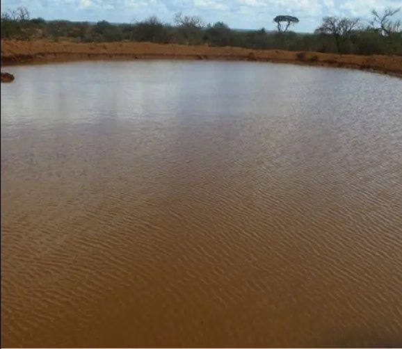 Full pond of brown water ringed by a red earth bank and distant thorn trees