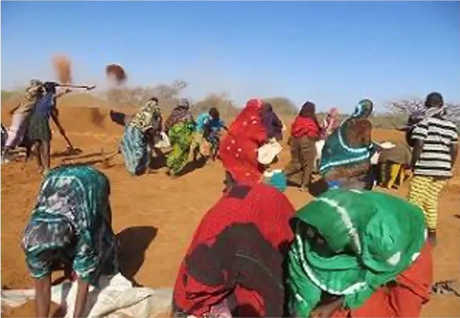 Women in bright shawls throwing up dust as they dig along the catchment rim