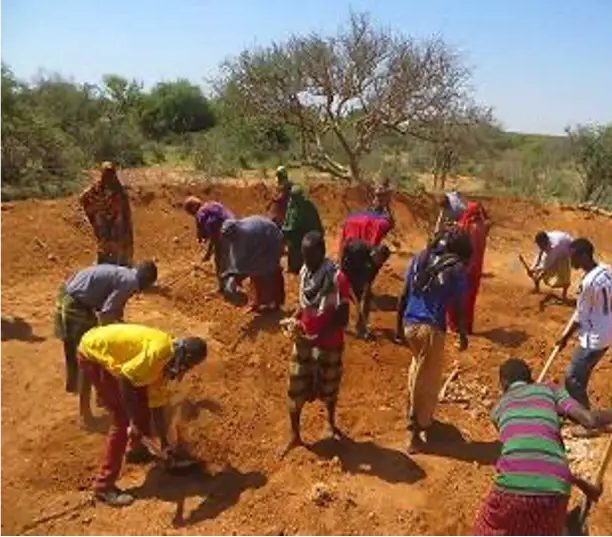 Line of villagers digging into the red bank beneath a single spreading tree
