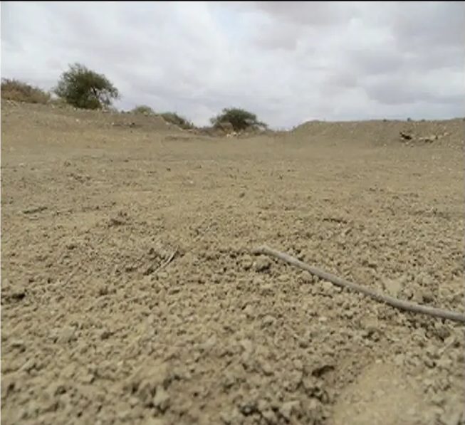 Dry, silted catchment basin with bare cracked soil stretching to a low horizon
