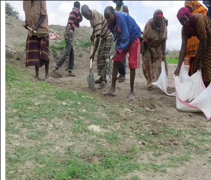 Work crew digging and filling sandbags along the grassy edge of the catchment
