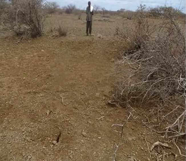 Scrubby degraded ground with dead brushwood and a lone figure on the ridge
