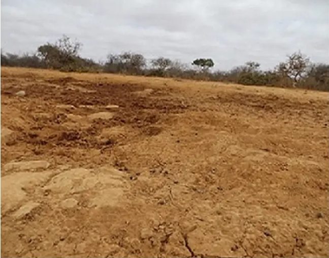 Bare eroded slope of pale brown earth with thorn scrub along the skyline