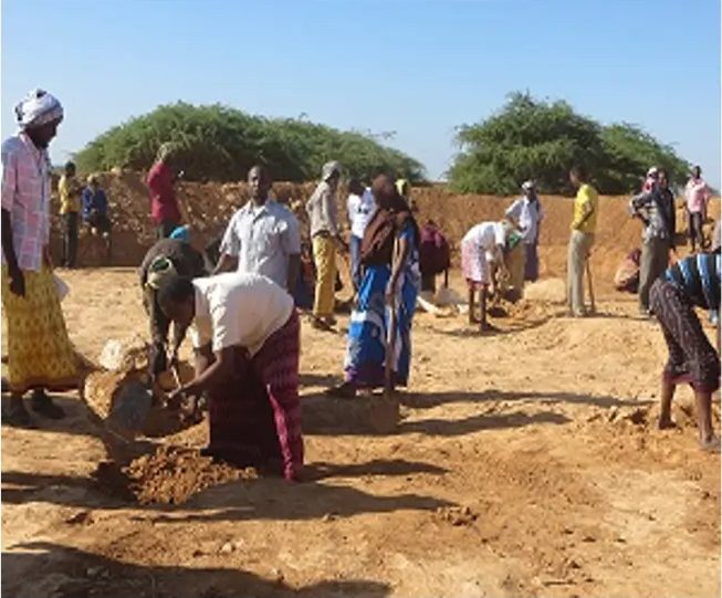 Villagers filling bags and shifting soil beside a freshly cut bank under acacia trees