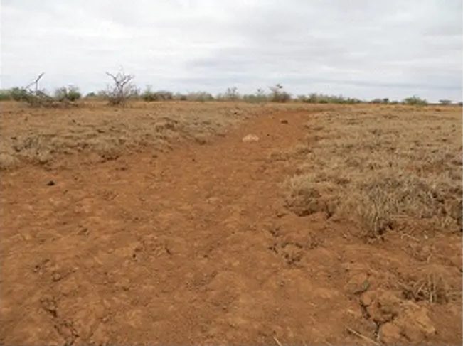 Flat expanse of bare reddish soil with sparse dry tussocks of grass