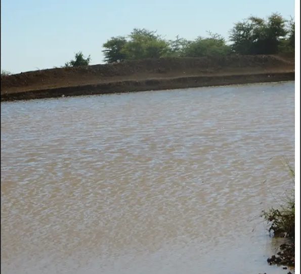 Rehabilitated water catchment holding open water out to the treeline
