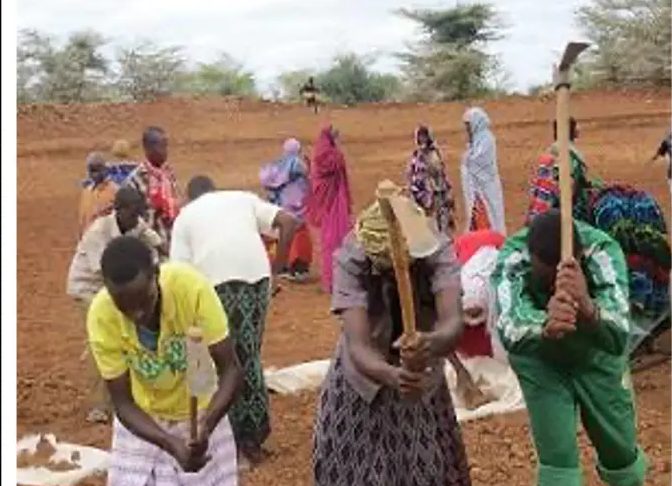 Women swinging mattocks in unison while others fill bags behind them