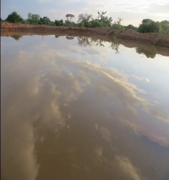 Catchment brimming with water after the rains, clouds mirrored on its surface