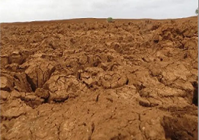 Wide field of broken, desiccated clay clods under a pale sky